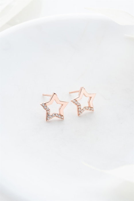Heliophilia Silver Pendientes de Plata de Ley 925 con Baño de Oro Rosa y Circón